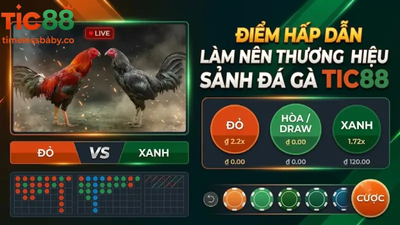 Phát sóng trực tiếp Full HD không gián đoạn