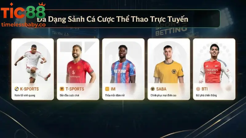 So Sánh Các Sảnh Cược Thể Thao Đỉnh Cao Tại TIC88